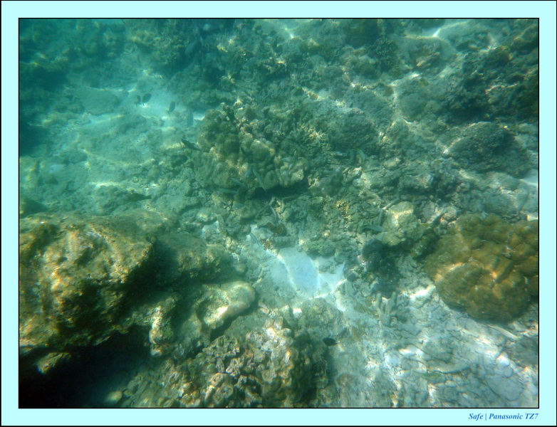 2011 - 03 - Koh Ngai 097